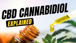 What is CBD and how much should you take? Cannabidiol Explained