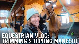 Trimming & Tidying Manes  EQUESTRIAN VLOG