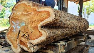 Sawing old teak wood full of beautiful and expensive grain  wood sawmill factory