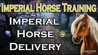 Imperial Training  Imperial Horse Delivery  BDO