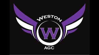 Some of our memories of 2019 Weston Aerobic Gymnastics One of the leading Gymnastics clubs in the UK