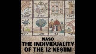 Naso - The Individuality of the 12 Nesiim