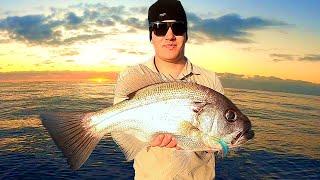 Its RARE to catch them this BIG in CLOSE  l  BIG Pearl Perch & Reefies