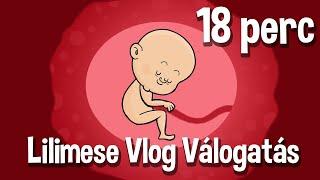 Lilimese Vlog Válogatás  1-5. Rész   18 perc  KerekMese 2021