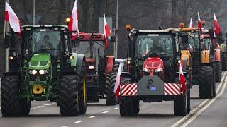 Протестующие фермеры и премьер-министр Польши не смогли договориться