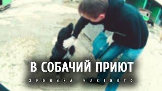  В СОБАЧИЙ ПРИЮТ  - хроника частного