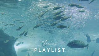 ［Playlist Quiet Time at the Aquarium