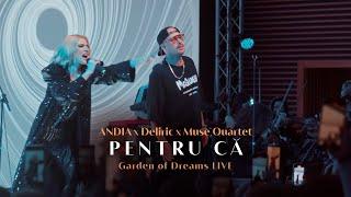 Andia x @deliricofficial x Muse Quartet - Pentru ca  Live from Garden of Dreams