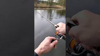 LIVEBISS Hecht knallt auf Köder • Pikefishing • Predator attack #angeln #fishing #catch