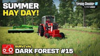 CUTTING THE GRASS FIELD FOR HAY BALES Dark Forest Survival FS22 Timelapse # 15
