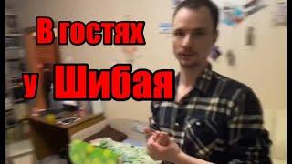 В гостях у Шибая