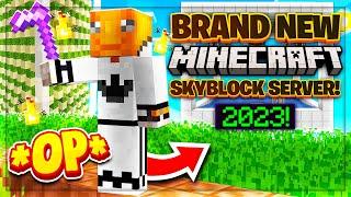 BRAND NEW MINECRAFT SKYBLOCK SERVER 2023   Minecraft Skyblock Server Java + Bedrock Edition