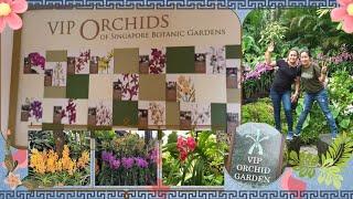 VIP orchid garden #rhose2478vlog #singaporebotanicgardens