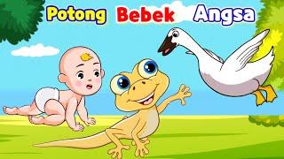 Potong Bebek Angsa Cicak dan bebek ️Lagu anak indonesia