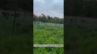 Warning shots fired at the Polish border