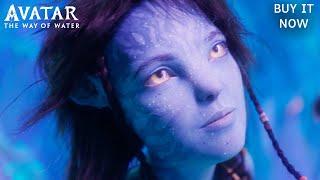 Avatar The Way of Water  Journey  Buy It on Digital Blu-ray Blu-ray 3D and 4K Ultra HD