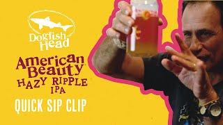 Dogfish Head Quick Sip Clip American Beauty Hazy Ripple IPA