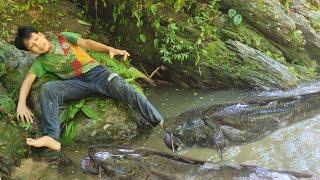 Village lifethe boy Bao lives alone in the wild forestmaking traps catch fishharvesting them sell