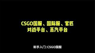 CSGO国服、国际服、官匹、对战平台、蒸汽平台都是什么意思？