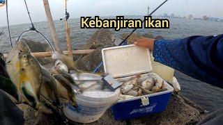 Panen strike ‼️ Setiap mancing kehabisan umpan pesta strike di spot pltu Ancol