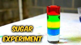 Awesome Sugar Water Density - Science Experiment