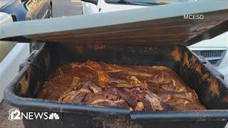 Unsafe food vendor causing diarrhea and vomiting county says