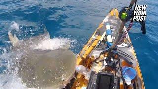 Huge tiger shark bites fisherman’s kayak off coast of Hawaii in wild video  New York Post