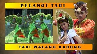 Tari Walang Kadung - Pelangi Tari - Sanggar Jingga Putih