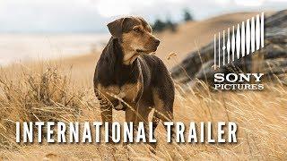 A DOG’S WAY HOME – International Trailer