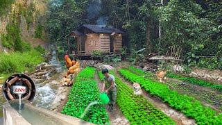 Build houses fish ponds gardens hydroelectric alone build life last for hundreds years in forest