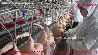 10000 BPH Broiler Chicken Slaughterhouse Poultry Processing Plant Line Slaughter Equipment