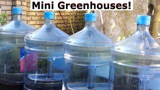 How To Cut A Large 19 Litre Bottle To Make A Mini Greenhouse