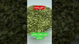 ما لا نعرفه عن نبات المورينجا