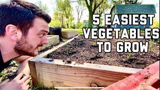 5 easiest vegetables to grow at home in 5 minutes - for beginners