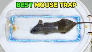 Best MouseRat Trap Bucket  Mouse in Trap  Mice TrapsMouse Trap Near Me  Mouse Catcher