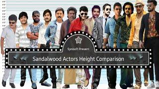 Tallest South Indian Actors - Kannada Film Industry Heroes