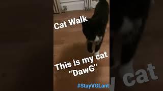 THE OFFICIAL CATWALK #stayvigilant