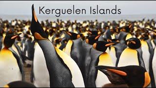 Kerguelen Islands 2022