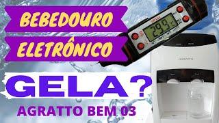 Bebedouro Eletrônico Sem Compressor AGRATTO BEM 03 GELA🟢 ou NÃO GELA? Teste Completo