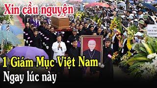 Tin Mới Cảm Động Chuyện 1 Giám Mục VN - Xin Cầu Nguyện Đức Cha Phaolô Maria Cao Đình Thuyên