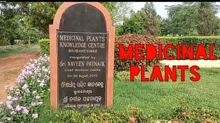 MEDICINAL PLANT KNOWLEDGE CENTRE  PATRAPADA  BHUBANESWAR  BIG FOREST PLANT.