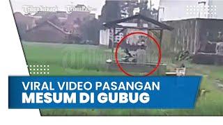 Viral Video Pasangan Mesum di Gubug Sawah Tak Bergeming Walau Ditegur Warga Kae Awan-awan Mesum