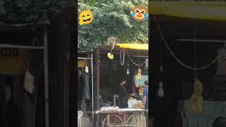 Theft by monkey .... Bajrang Bali ki Jai Ho ....#shorts #satisfyingvideo #satisfying #viral