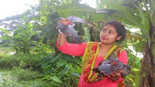 আস্ত রসুন দিয়ে সাস্থকর কবুতর ঝোল  village traditional pigeon recipe by aparna