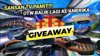 GIVE AWAY SANSANTV-khusus buat kalian yang masih setia dengan channel ini