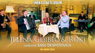 Jelena Gerbec - Uvek cu da te volim orkestar Sase Despotovica