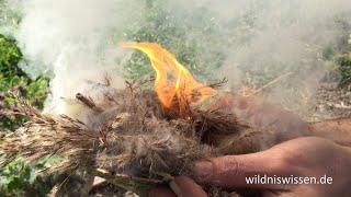 Feuerbohrer Anleitung für Anfänger Wildniswissen