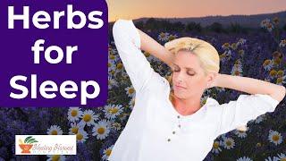 Herbs for Sleep