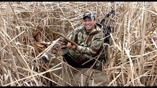 GIANT 165 Marsh Buck  Public Land WI  Behind the Bow