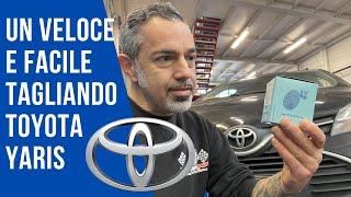 Toyota Yaris sostituzione olio e filtri #blueprint